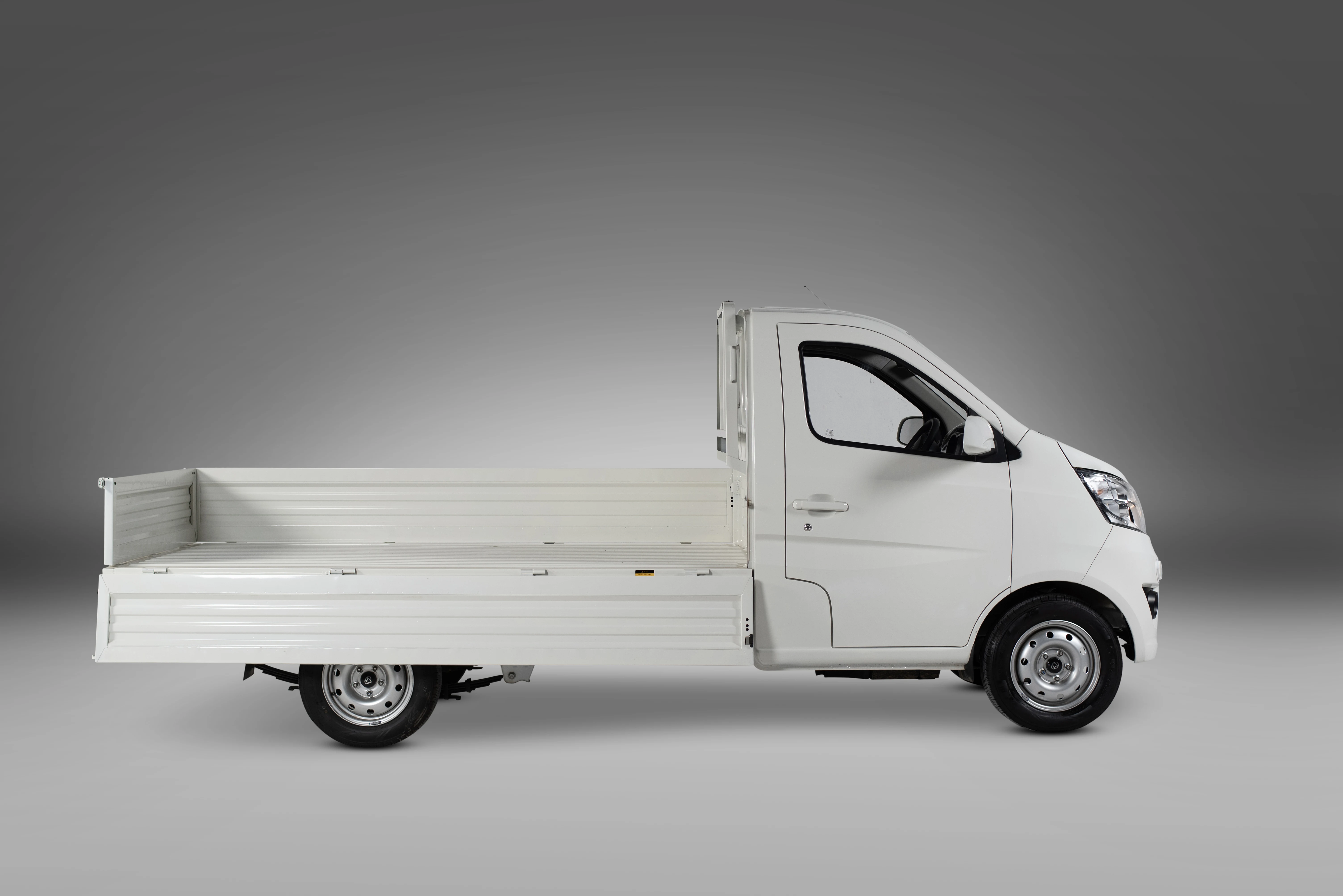 Star Truck (Single Cabin) Safety Performance